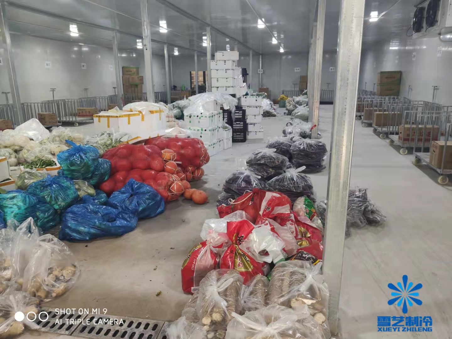 保鮮冷庫造價 保鮮冷庫造價