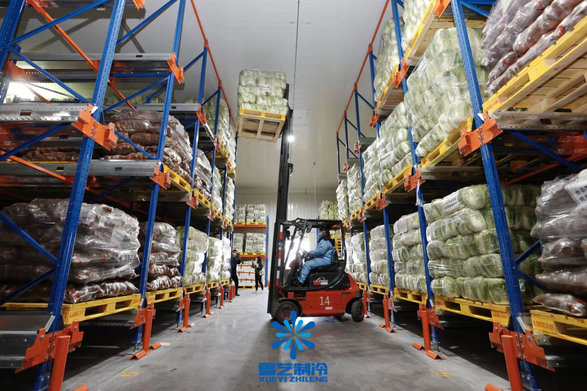 冷庫改造 冷庫改造