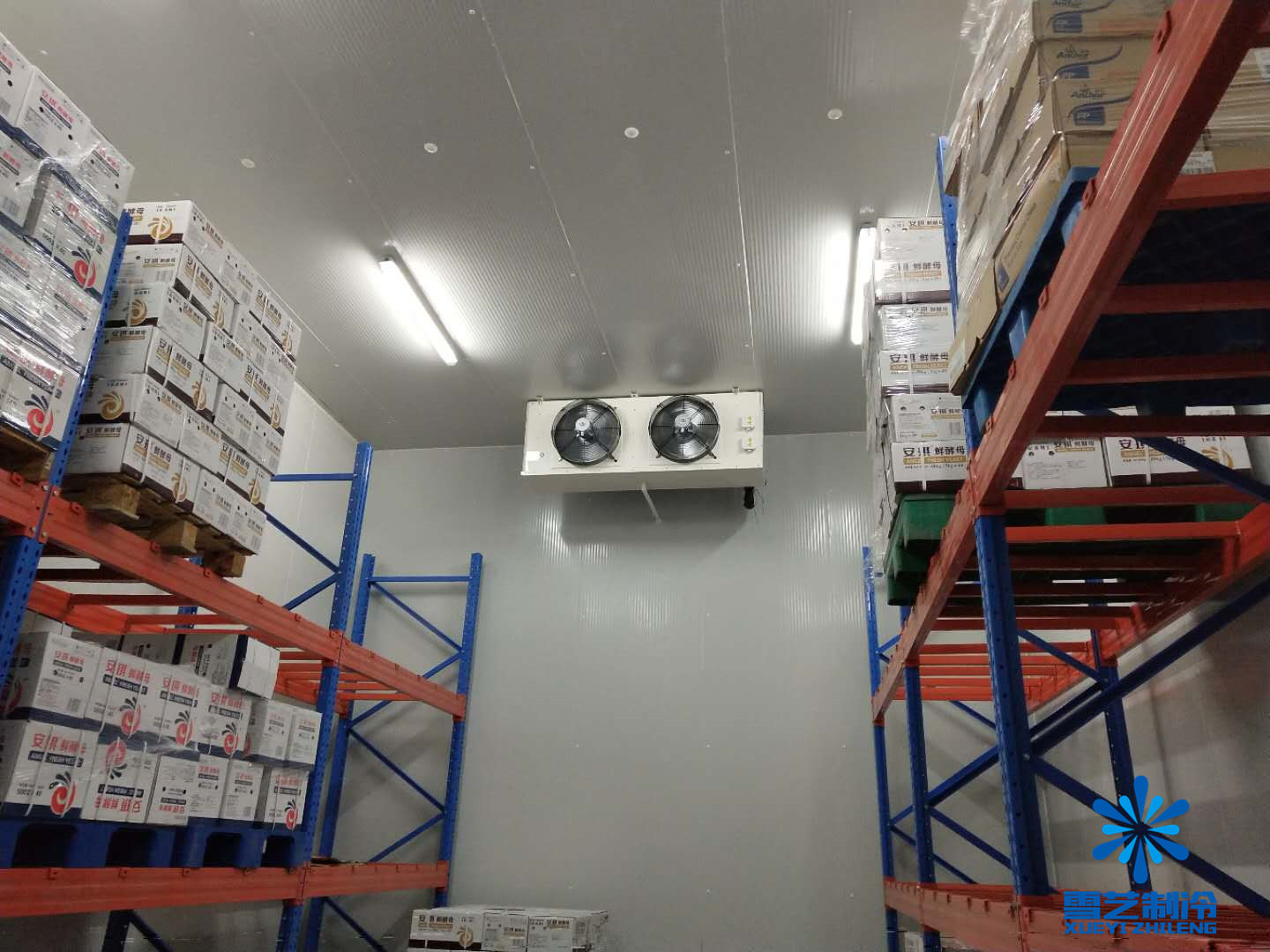 冷庫改造 冷庫改造